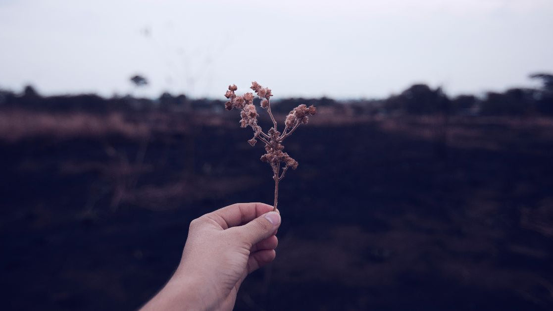 The illusion of a perfect life on social media