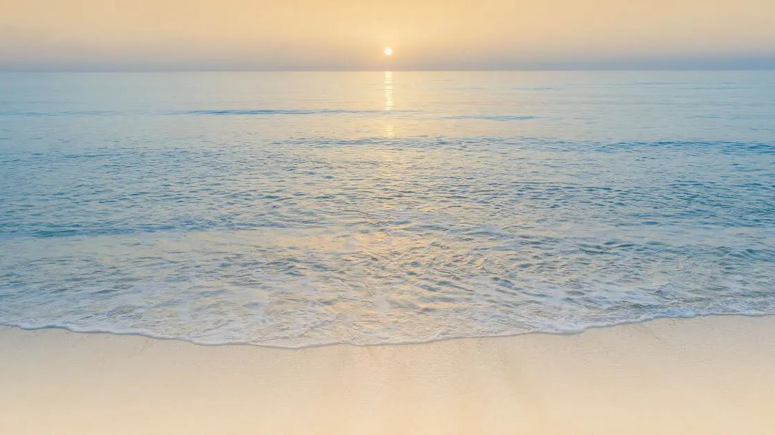 It all starts with you – Reclaiming balance through daily wellness Wander Balance