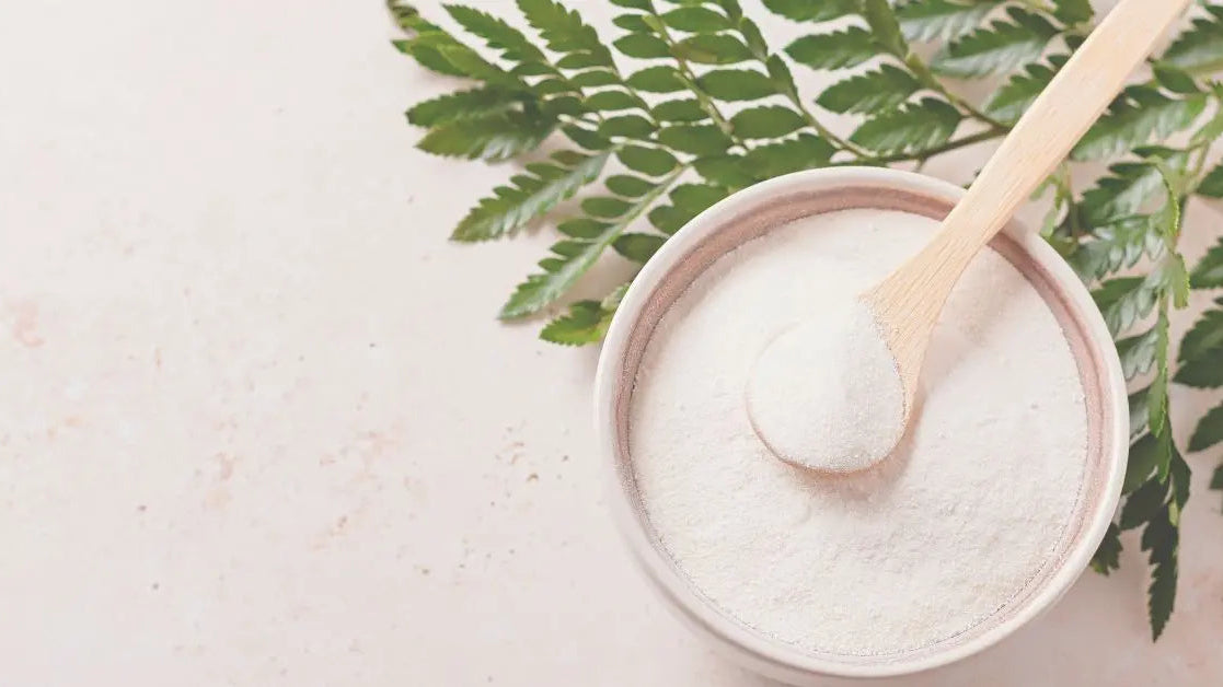 Collagen-The-Secret-to-Youthful-Radiant-Skin Wander Balance