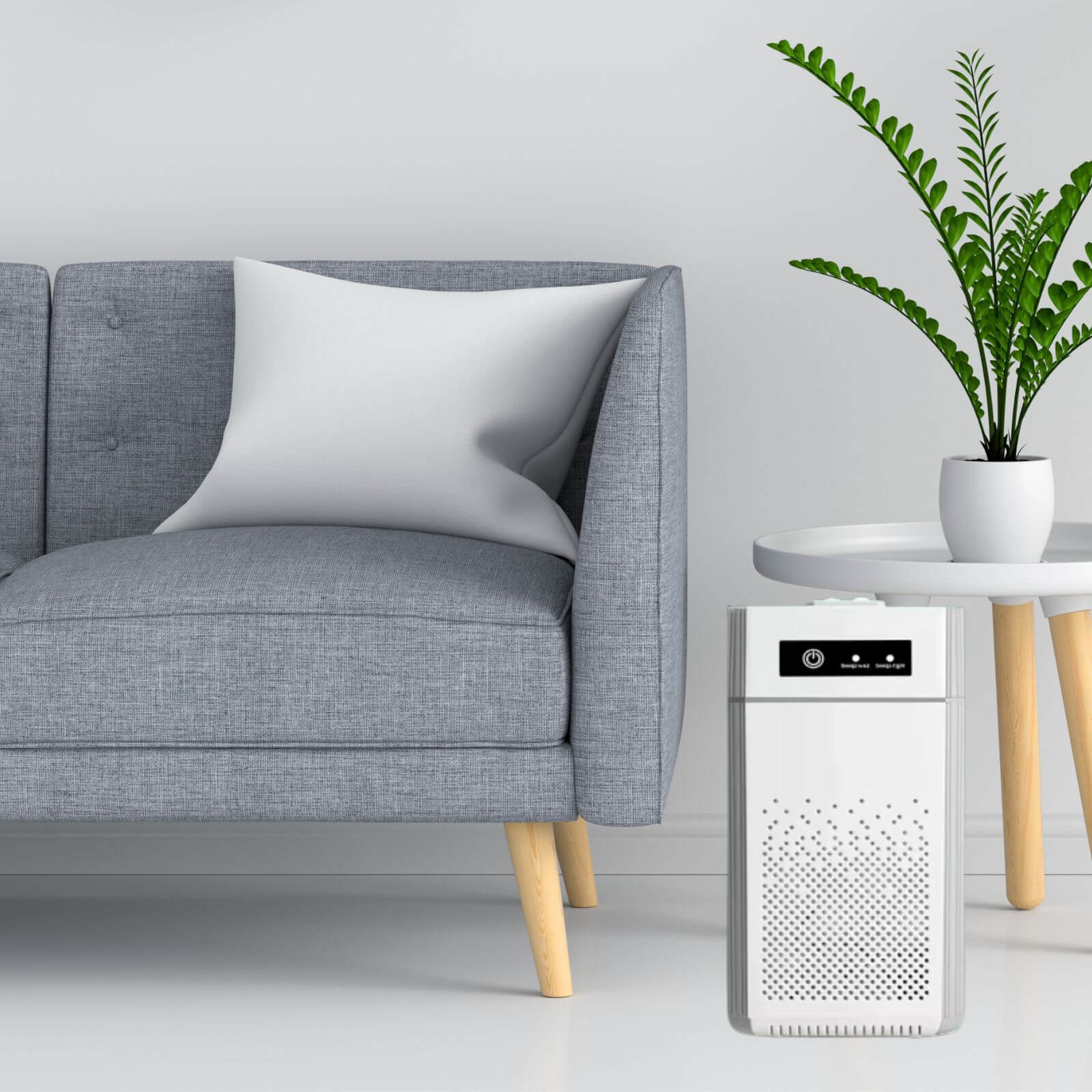 Negative Ion Air Purifier