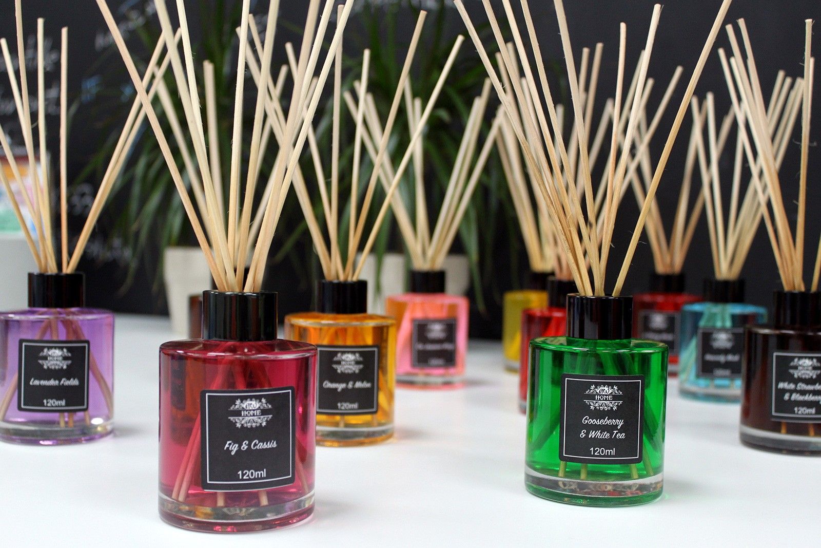 120ml Reed Diffuser – On Jasmine Wings