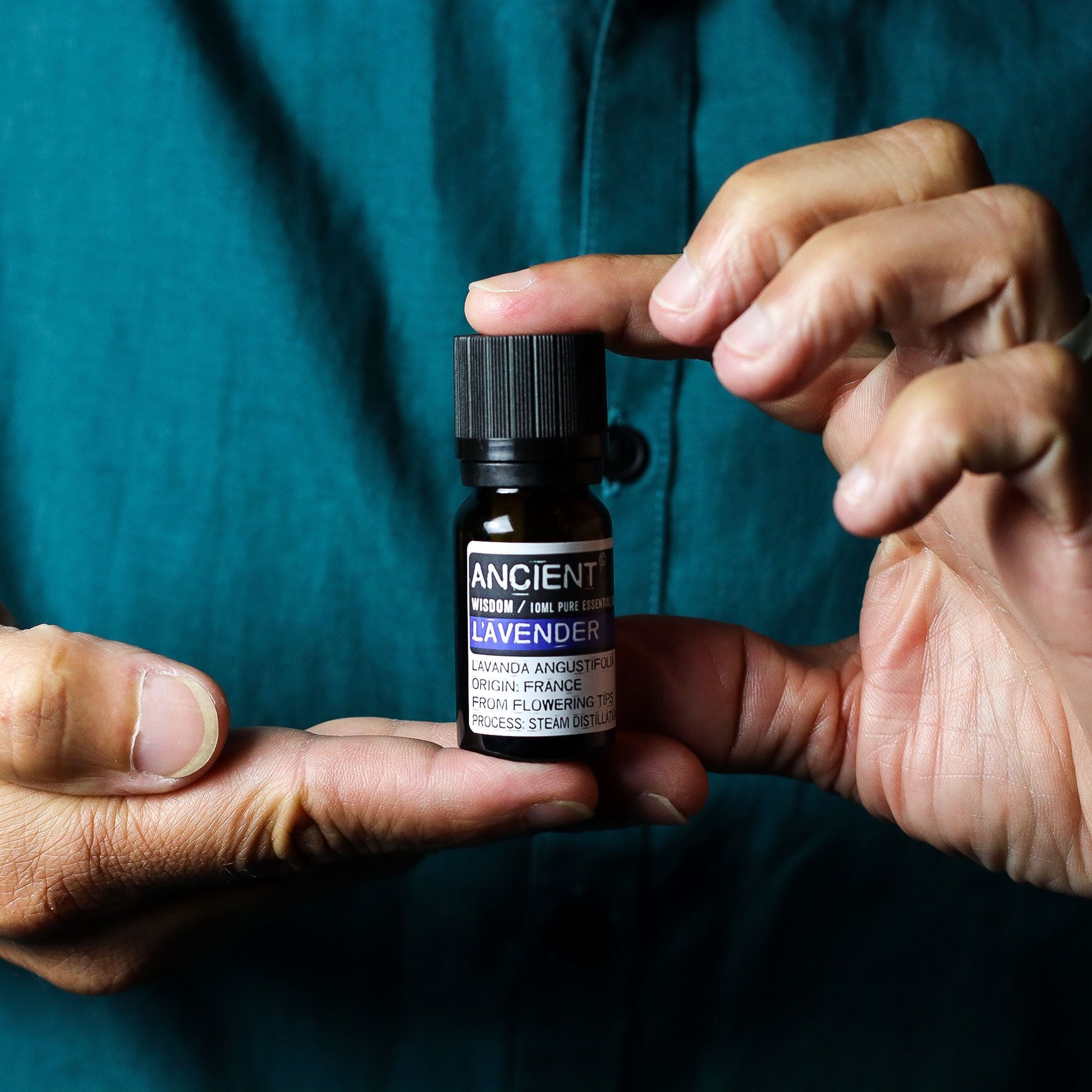 Essential Oil Set – Lavender, Tea Tree & Rosemary (10ml Each)