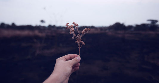 Gratitude, Authenticity, and the Illusion of “Perfect” Life