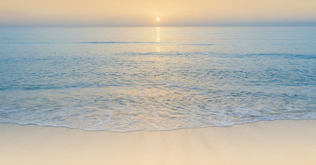 It all starts with you – Reclaiming balance through daily wellness