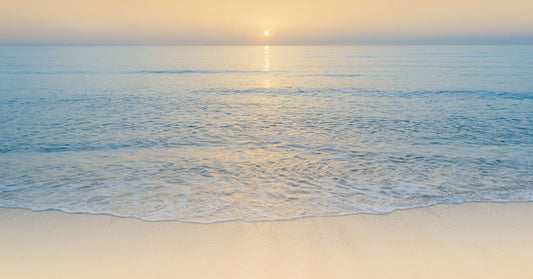 It all starts with you – Reclaiming balance through daily wellness