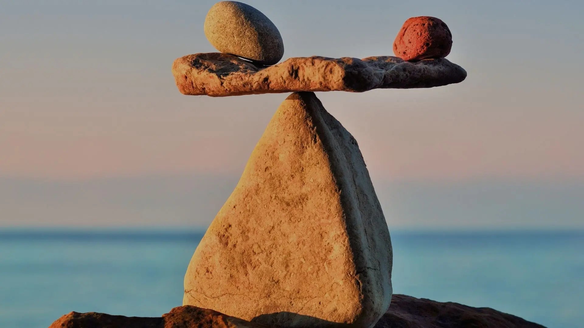 What real wellness truly feels like Wander Balance