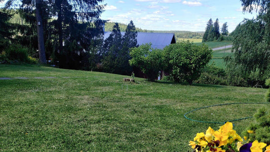 The moment I realized I was losing my real life