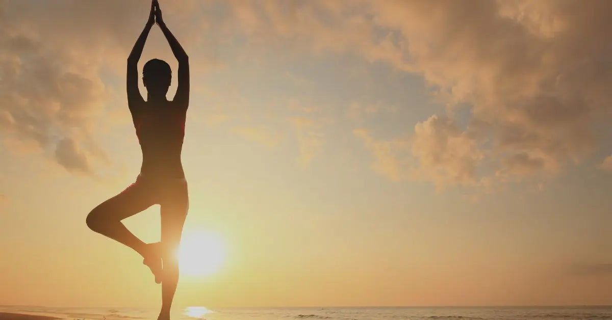 Yoga Is for Every Body Wander Balance