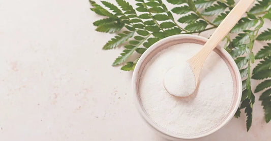 Collagen-The-Secret-to-Youthful-Radiant-Skin Wander Balance