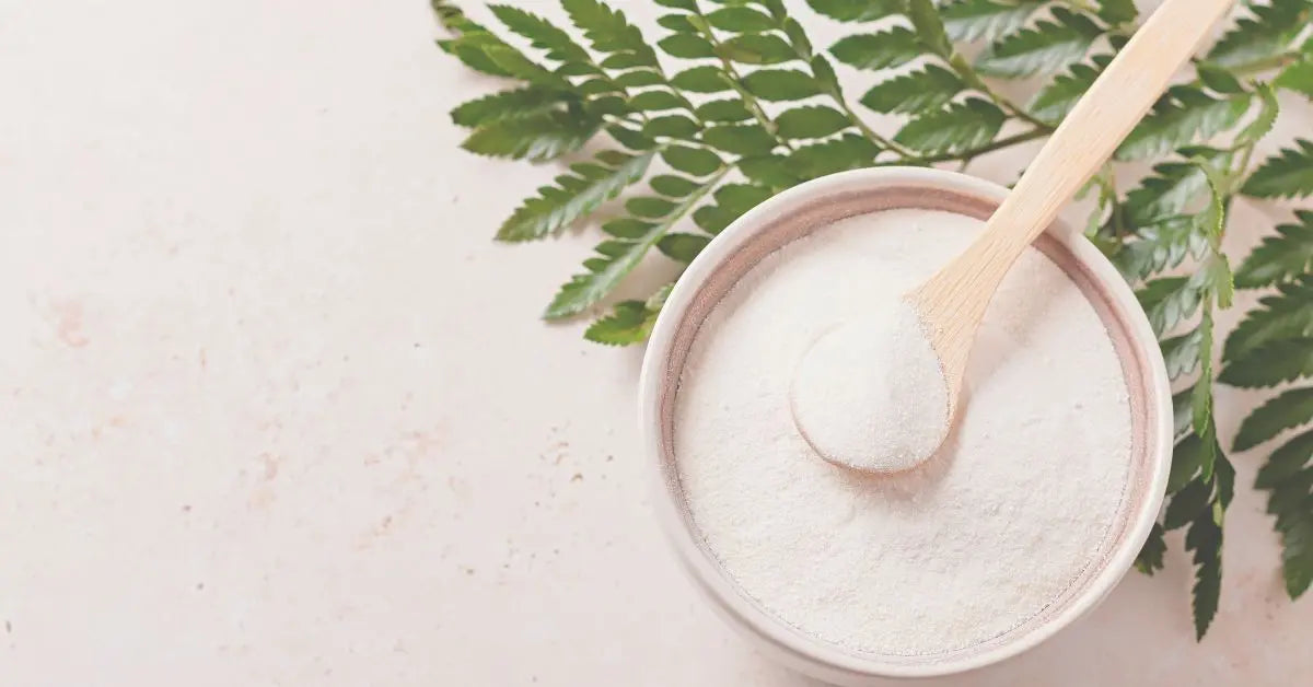 Collagen-The-Secret-to-Youthful-Radiant-Skin Wander Balance
