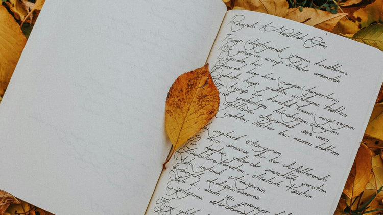 Journals & Reflection