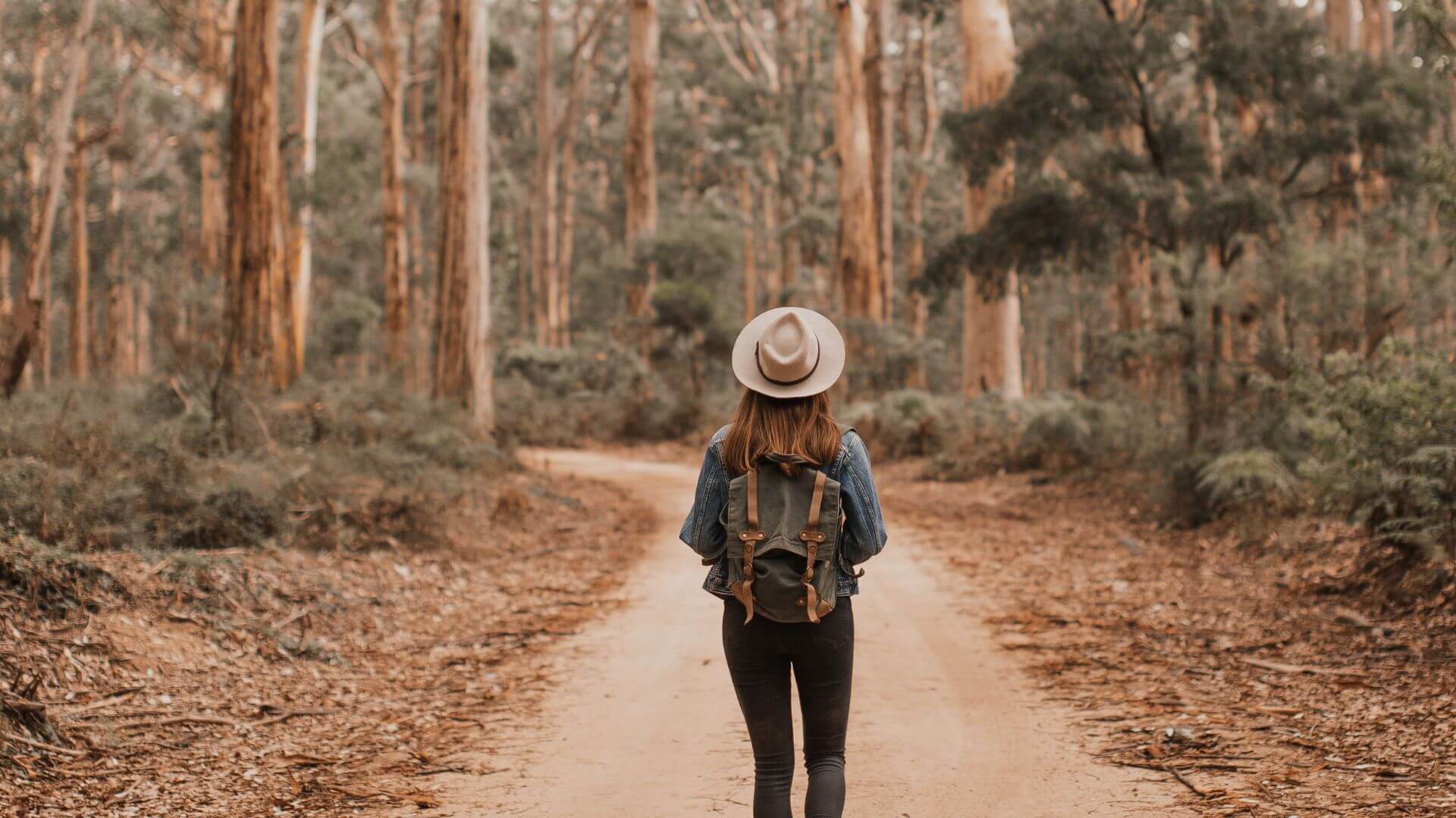 women walking in the forest