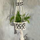Macramé Plant Holder – Large | Single Beaded
