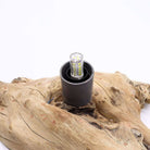 DriftGlow Driftwood Lamp – Cotton Luna Ivory Shade