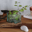 Molten Glass Bowl on Wood – Large