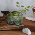 Molten Glass Bowl on Wood – Large