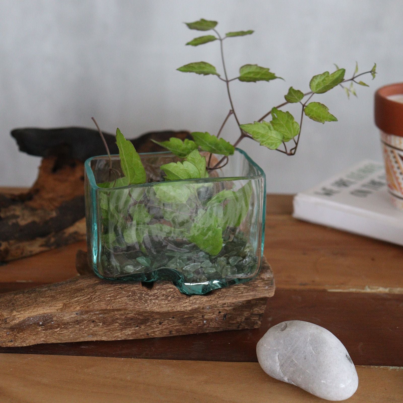 Molten Glass Bowl on Wood – Large