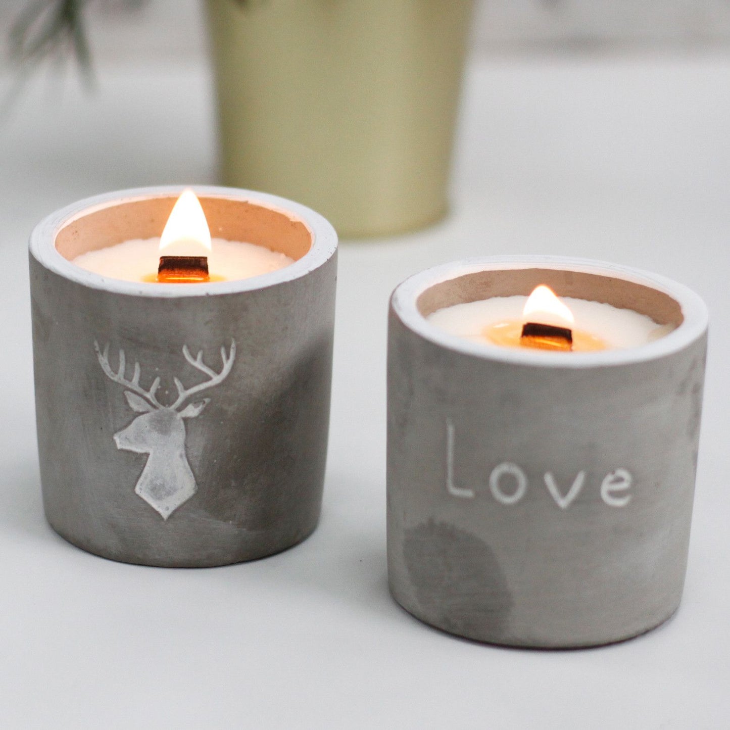 Med Concrete Soy Candle - Stag Head - Whiskey & Woodsmoke