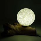 DriftGlow Driftwood Lamp – Cotton Luna Ivory Shade