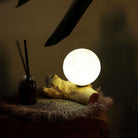 DriftGlow Driftwood Lamp – Cotton Luna Ivory Shade