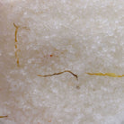 Himalayan Bath Salt Blend 500g - Energise 