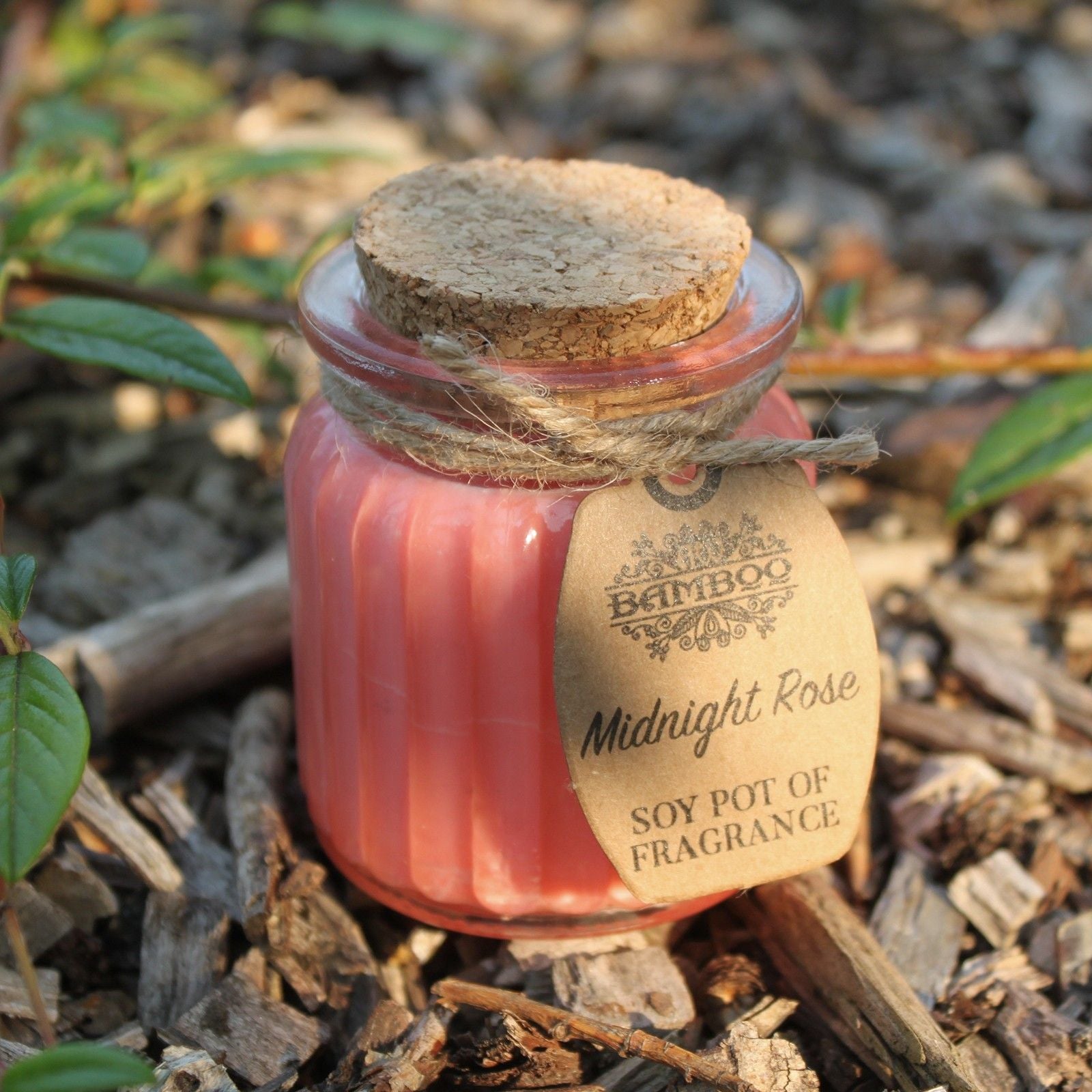 Midnight Rose Soy Pot of Fragrance Candle AW Dropship Europe